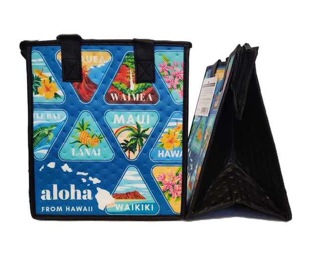Tropical Paper Garden Hawaiian Hot/Cold Reusable Small Bag - MAPPED BLUE PET