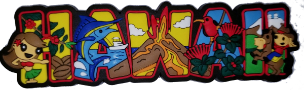 Magnet - Hawaii Block Rubber