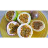 Hawaiian Sun Drink - Lilikoi Passion 11.5oz (Pack of 6)  **Limit of 8-6 Packs per purchase transaction**